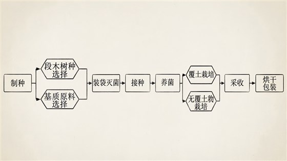 image_630851232604587