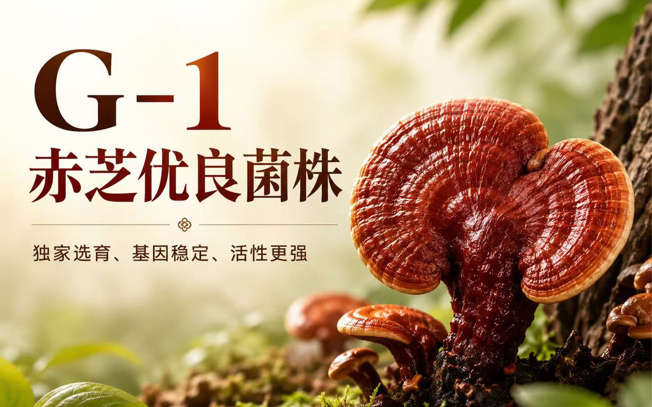 微信图片_2026-06-13_134612_405