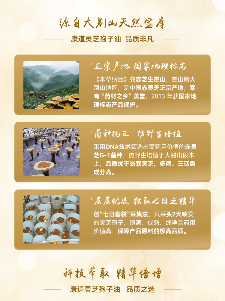 r-Slice 4--猴头菇软胶囊