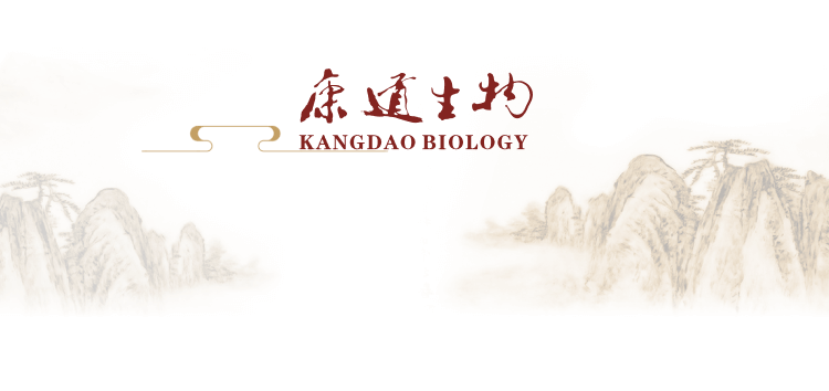 o-Slice 3--文化--关于