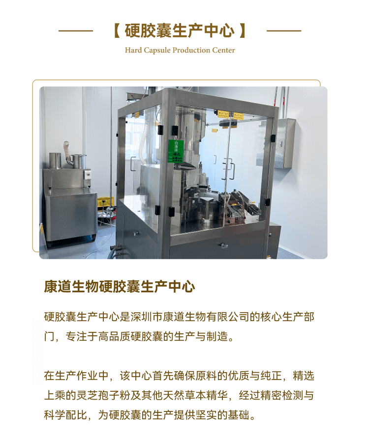 Y-Slice 1--硬胶囊-生产
