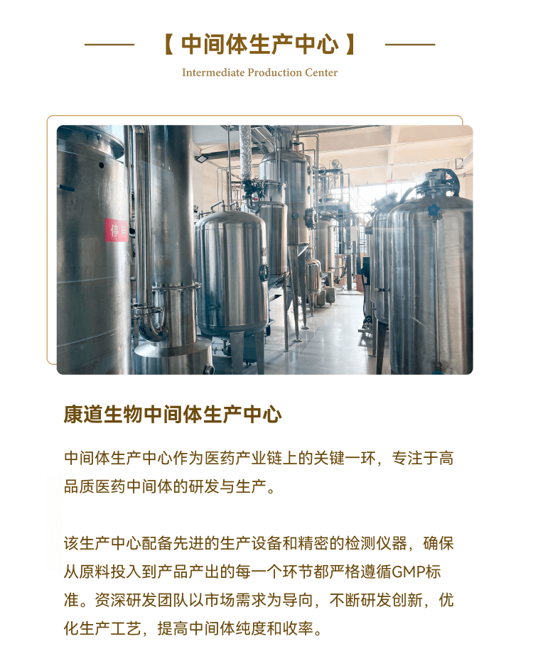 Z-Slice 1--中间-生产