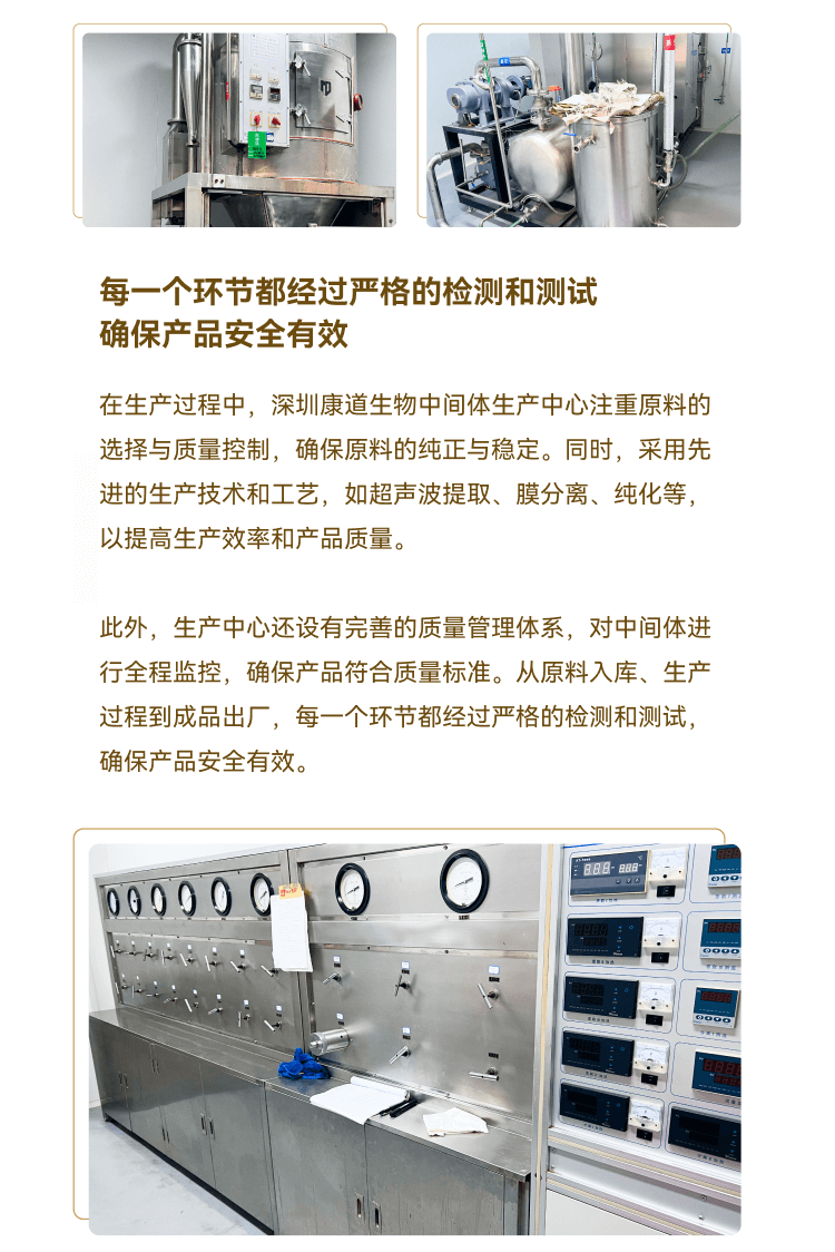 Z-Slice 2--中间-生产