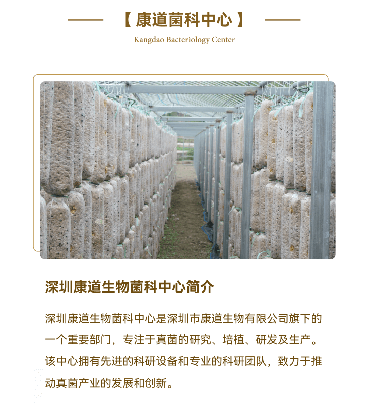 U-Slice 1--菌科--基地