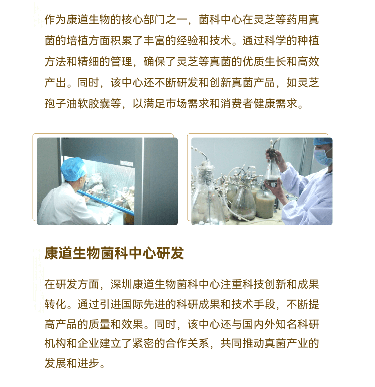 U-Slice 2--菌科--基地