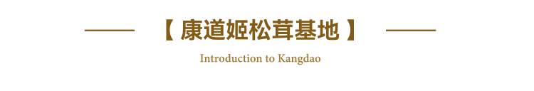 E-Slice 2--姬松茸标题--基地